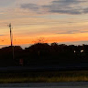 Meet your Posher, Riley